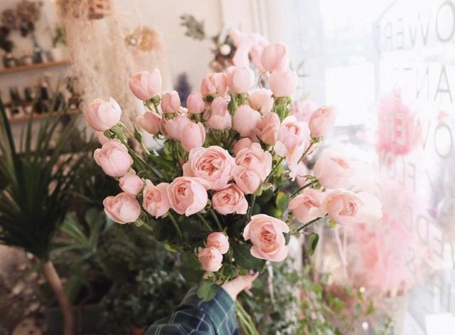 1584764393005042169.jpg 2.jpg