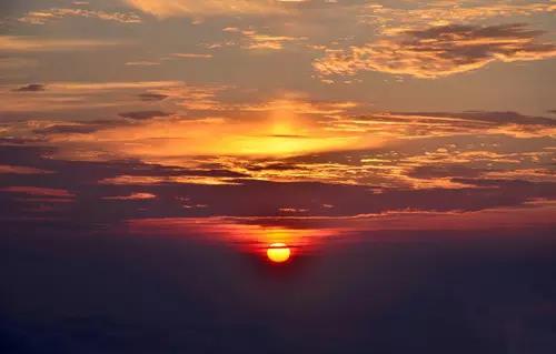 1584789645926042327.jpg 6.jpg