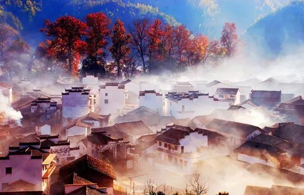 1584789653969047207.jpg 7.jpg