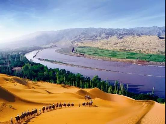 1584789699895053325.jpg 10.jpg