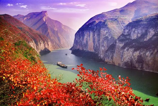 1584789792571099223.jpg 14.jpg