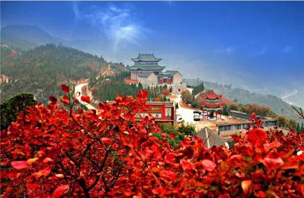 1584789878210024154.jpg 17.jpg