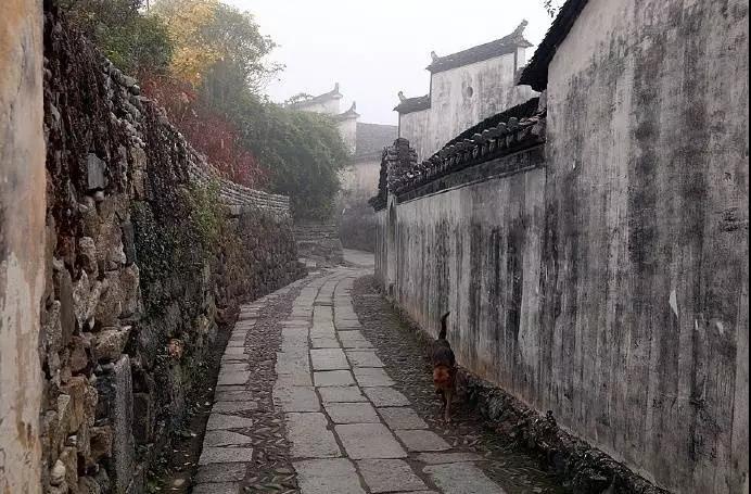 1584877970106056866.jpg 2.jpg