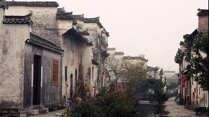 1584877979863008682.jpg 3.jpg