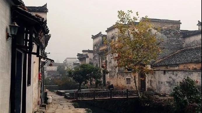 1584877987039055693.jpg 4.jpg