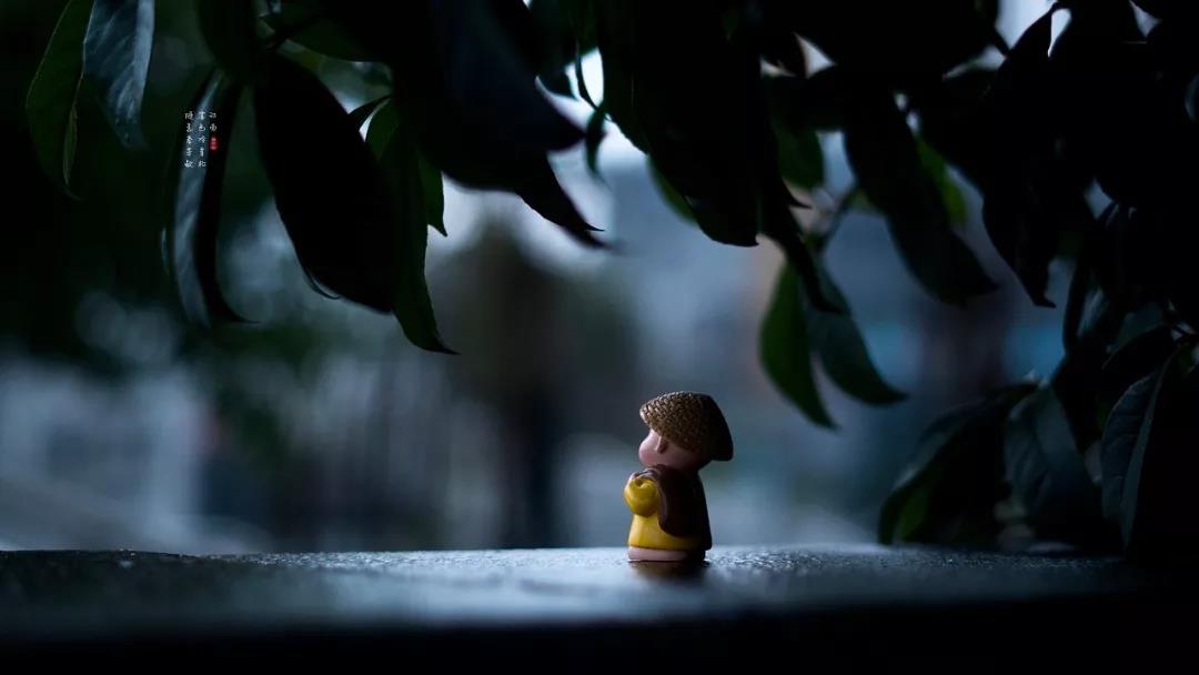 1585192654987080180.jpg 3.jpg