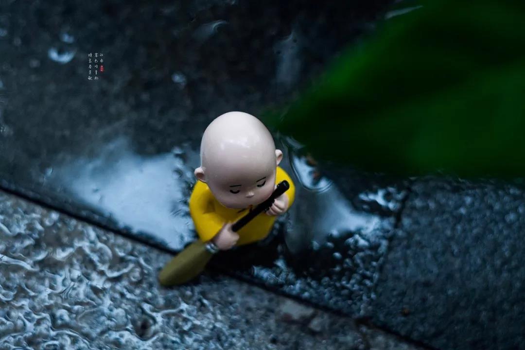 1585192669363008724.jpg 4.jpg