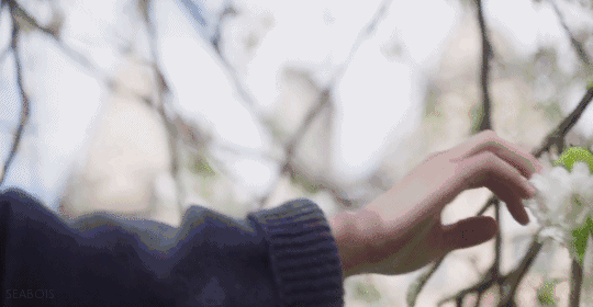 1585651143698007555.gif 3.gif