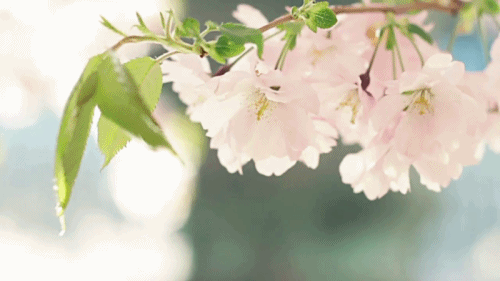 1585651160371058478.gif 4.gif