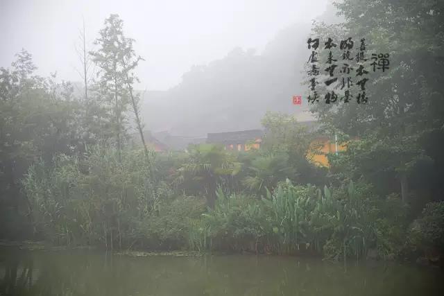 1598749455775098446.jpg 微信图片_20200830090143.jpg