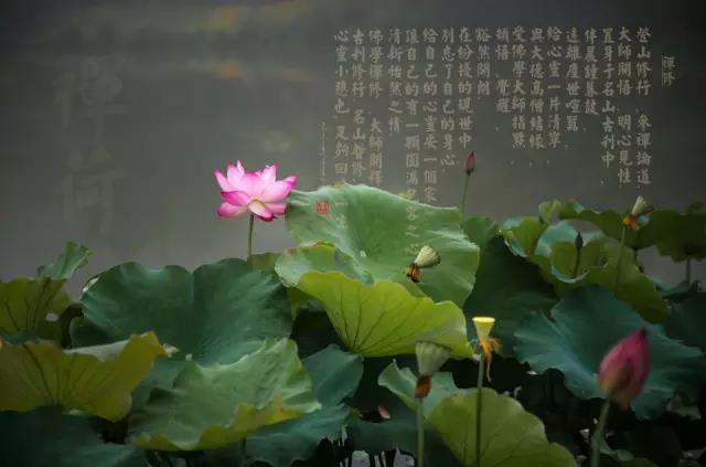 1598749464582081701.jpg 微信图片_20200830090149.jpg