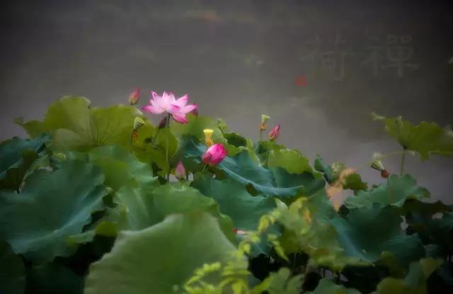 1598749472515030302.jpg 微信图片_20200830090204.jpg