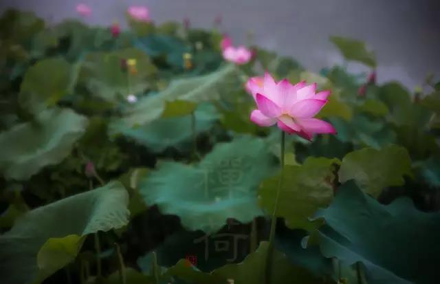 1598749481014074966.jpg 微信图片_20200830090207.jpg