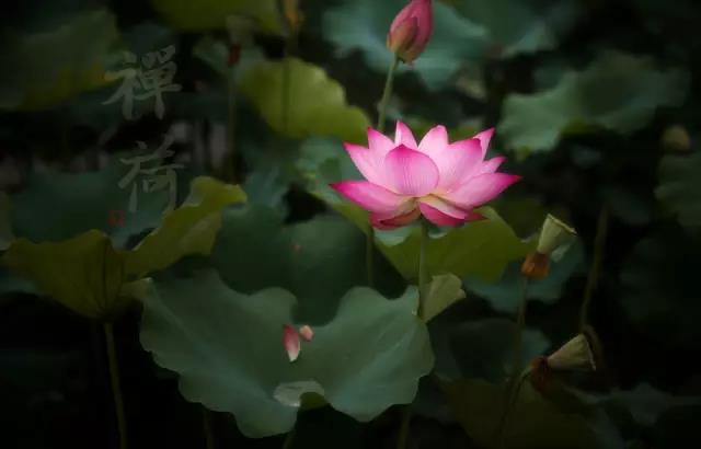 1598749489931080641.jpg 4.jpg