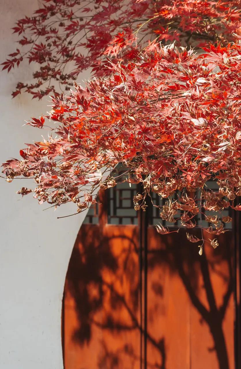 1600147382577063578.jpg 3.jpg