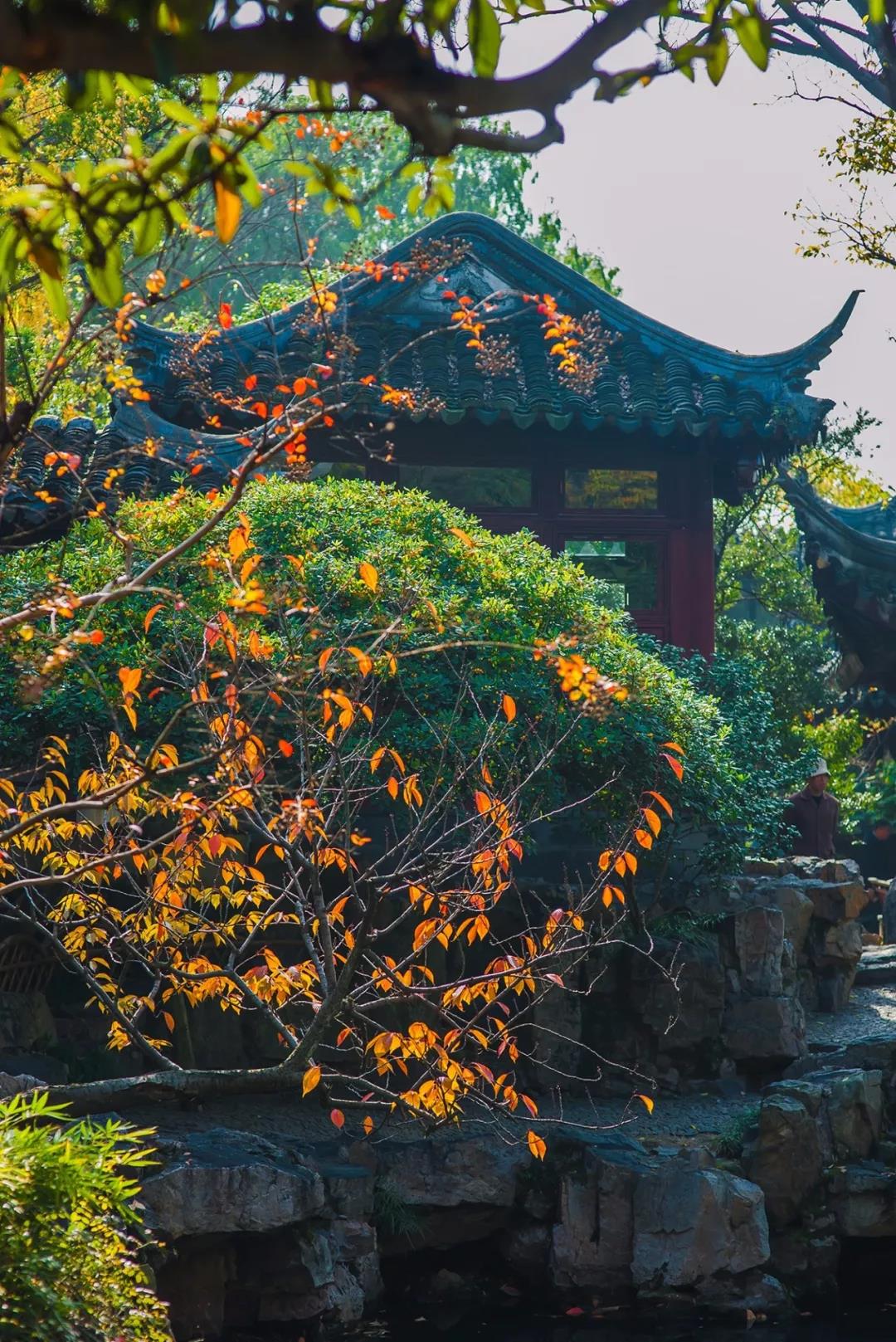 1600147398808007184.jpg 5.jpg