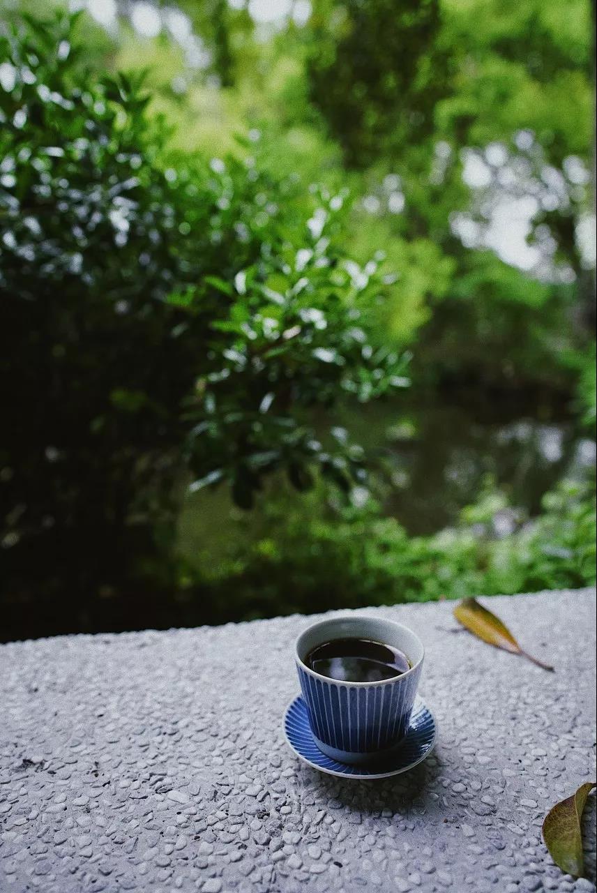 1600147440714057362.jpg 8.jpg