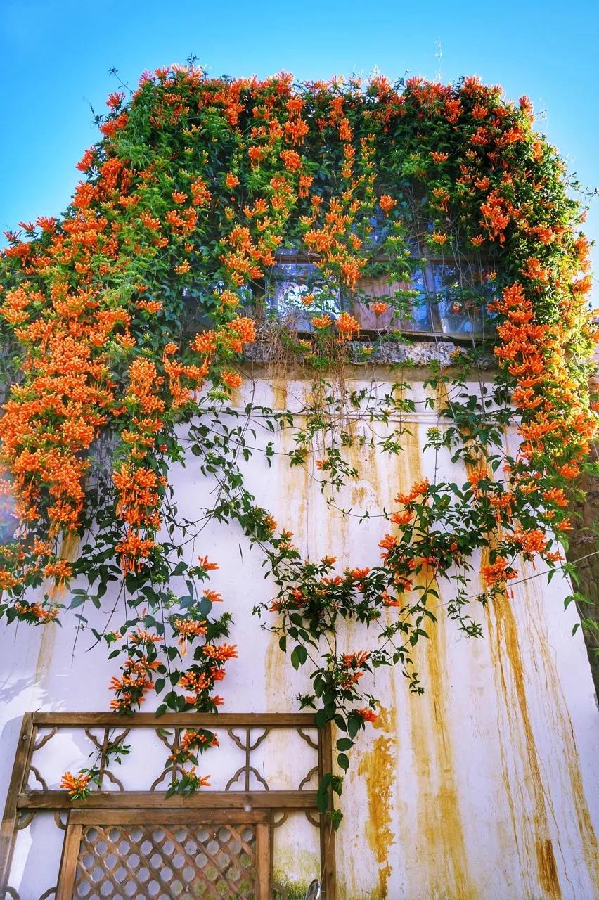 1600147469843042358.jpg 9.jpg