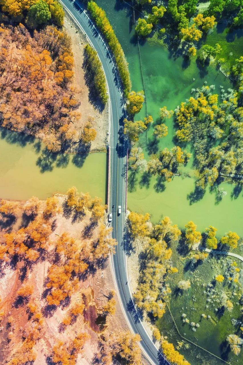 1600147486481078002.jpg 10.jpg