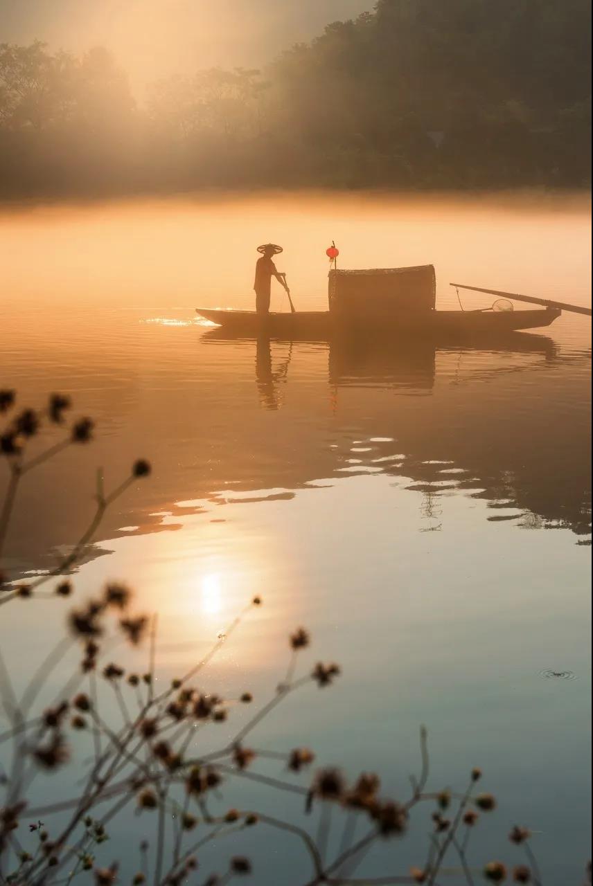 1600147525967096112.jpg -12.jpg