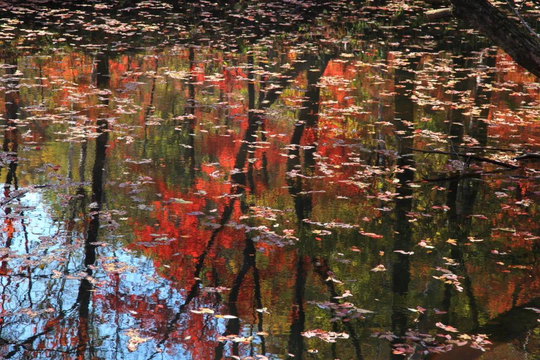 1602292044891026451.jpg 3.jpg