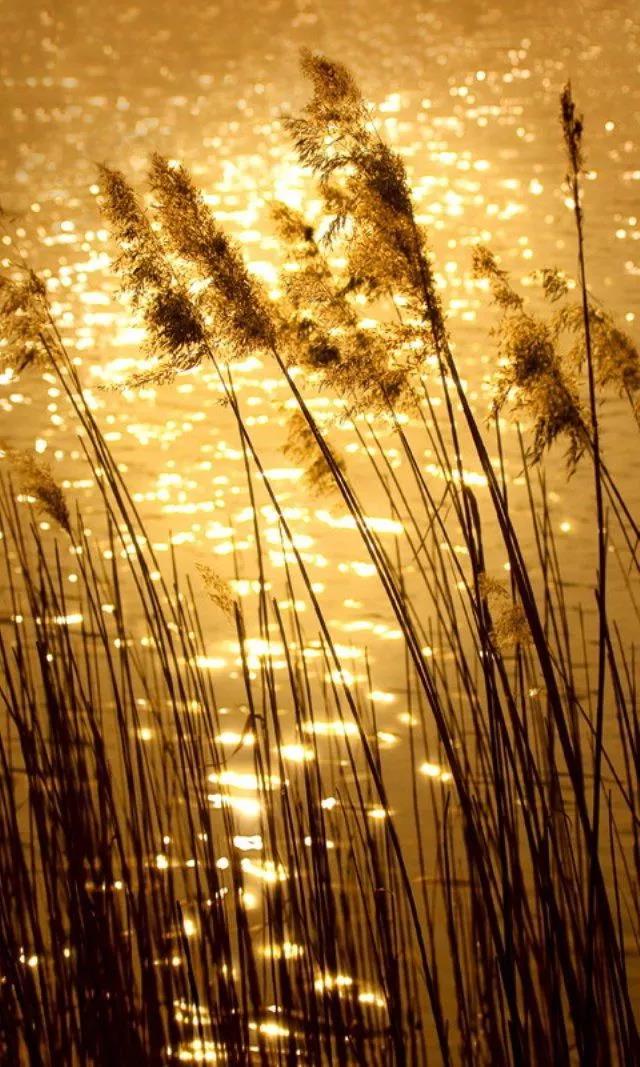 1602292085580080087.jpg 5.jpg