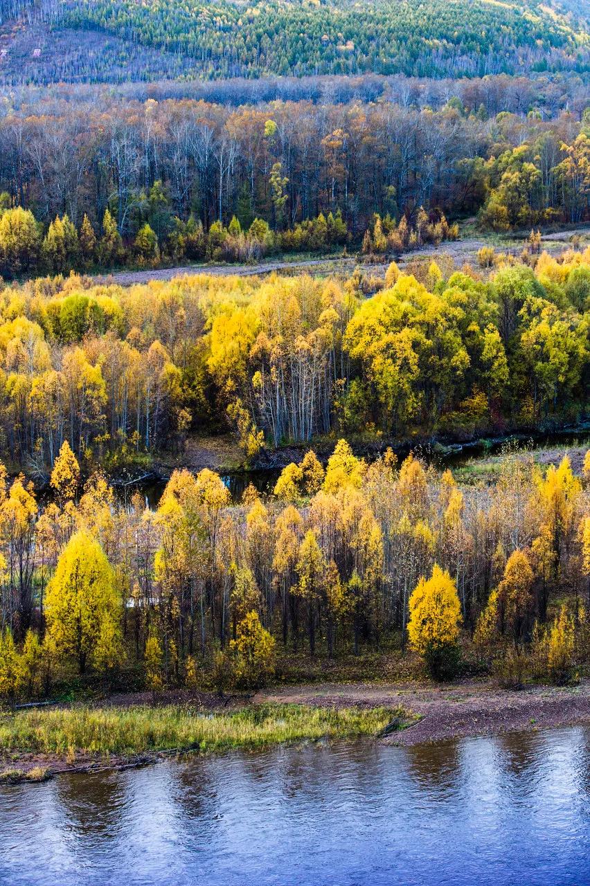 1602292105415074717.jpg 6.jpg