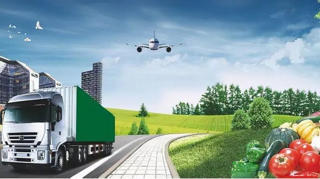 1663120082778004482.jpg 2.webp.jpg