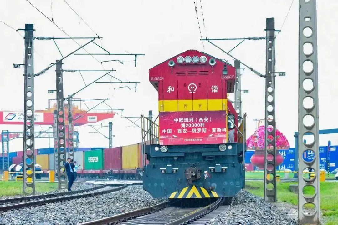 1698283235260083714.jpg 4.jpg