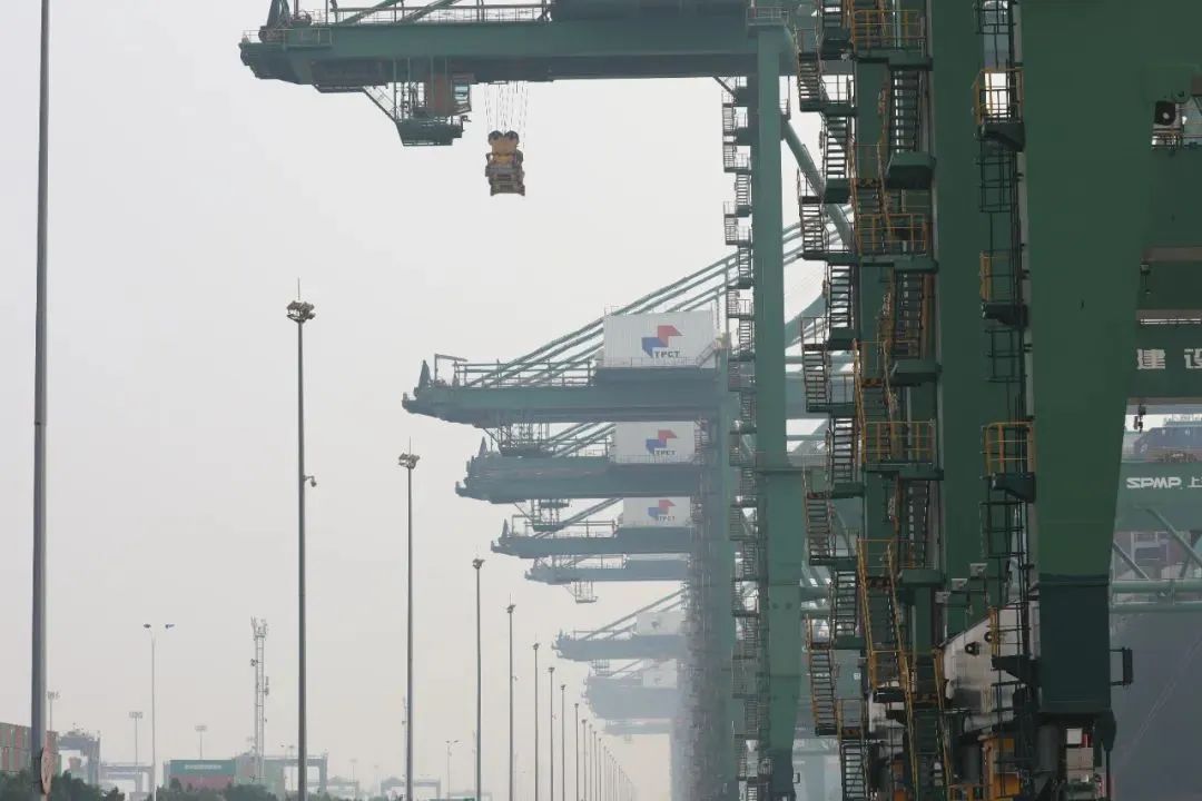 1698283284838029993.jpg 9.jpg