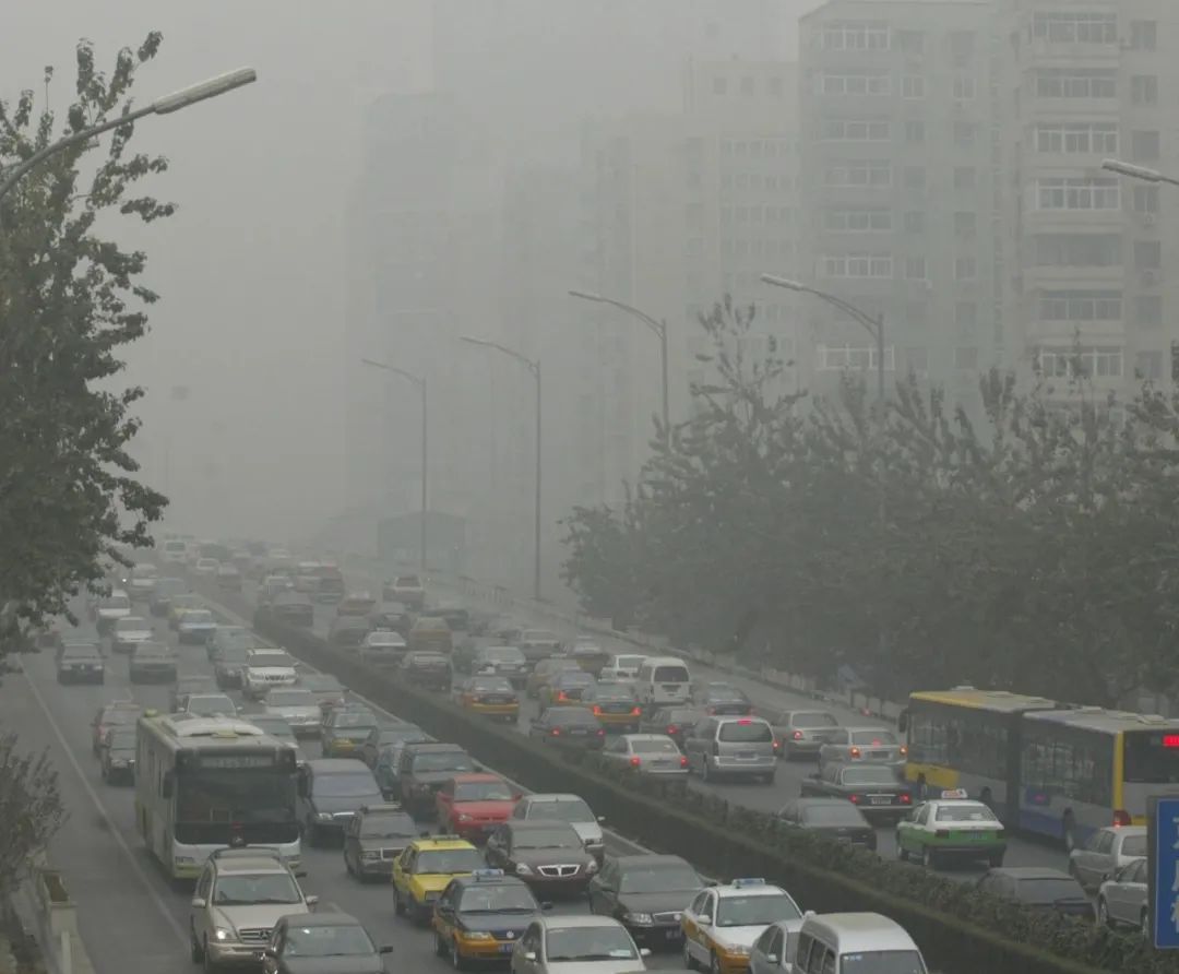 1698713953791086818.jpg 3.jpg